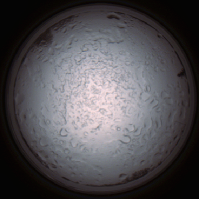 capture_202112060847_1490.Png