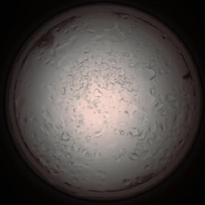 capture_202112060953_1556.Png