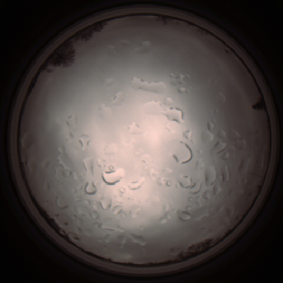 capture_202112061422_1825.Png
