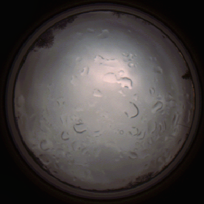 capture_202112061441_1844.Png