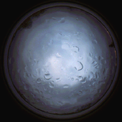capture_202112061519_1882.Png