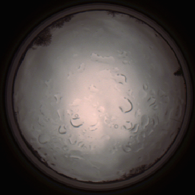 capture_202112061431_1834.Png