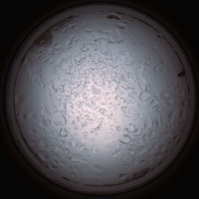 capture_202112060848_1491.Png