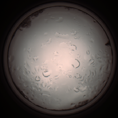 capture_202112061229_1712.Png