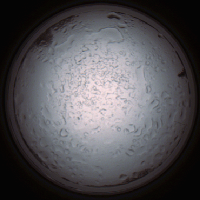 capture_202112060932_1535.Png