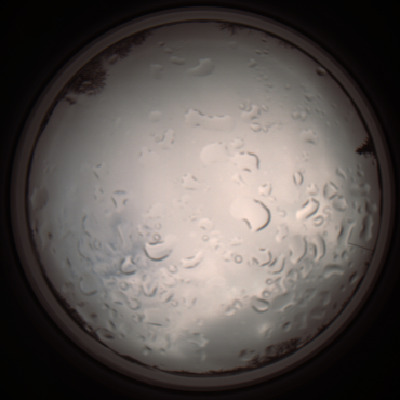 capture_202112061144_1667.Png