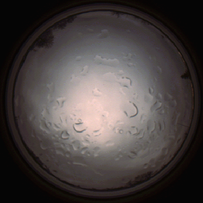 capture_202112061442_1845.Png