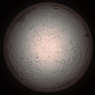 capture_202112061013_1576.Png