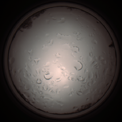 capture_202112061222_1705.Png