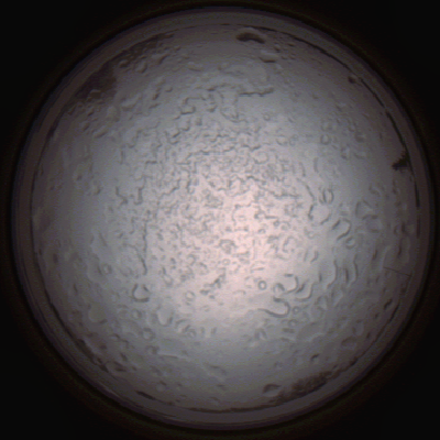 capture_202112060821_1464.Png