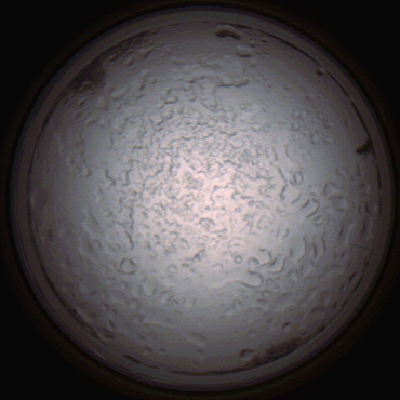 capture_202112060818_1461.Png