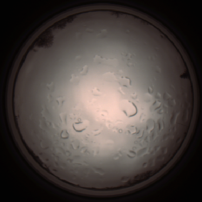 capture_202112061411_1814.Png
