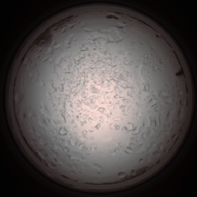 capture_202112060917_1520.Png