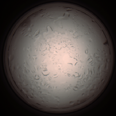 capture_202112061016_1579.Png