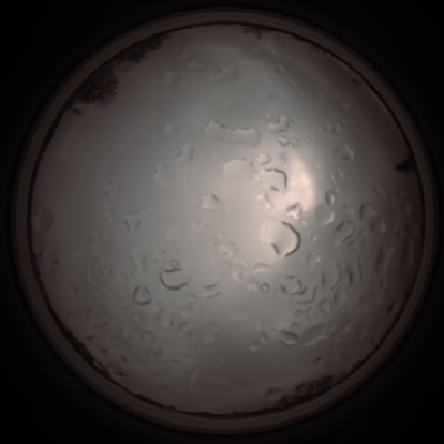 capture_202112061310_1753.Png