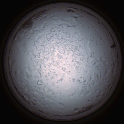 capture_202112060904_1507.Png