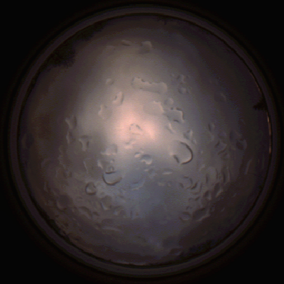 capture_202112061532_1895.Png