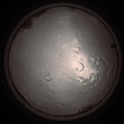 capture_202112061303_1746.Png