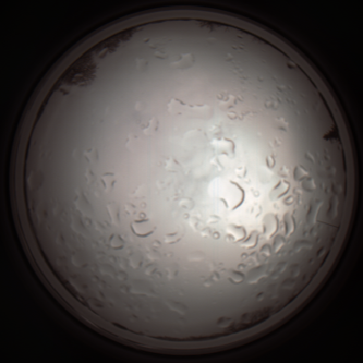 capture_202112061127_1650.Png
