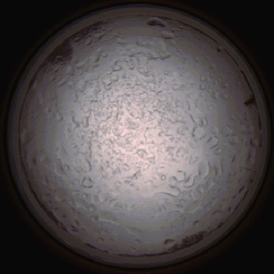 capture_202112060759_1442.Png
