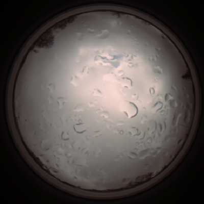 capture_202112061314_1757.Png