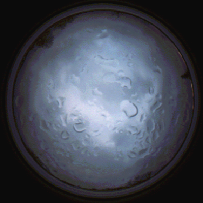 capture_202112061518_1881.Png