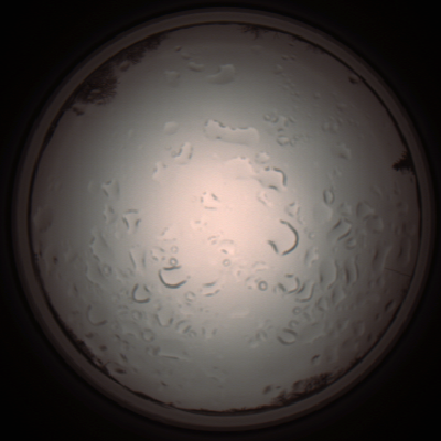 capture_202112061156_1679.Png