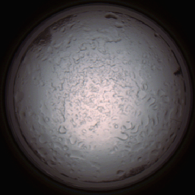 capture_202112060827_1470.Png