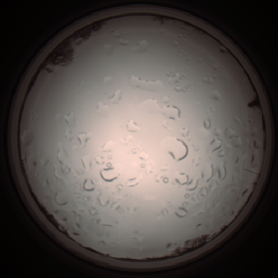 capture_202112061147_1670.Png