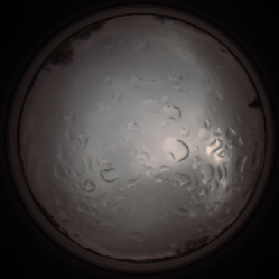 capture_202112061332_1775.Png