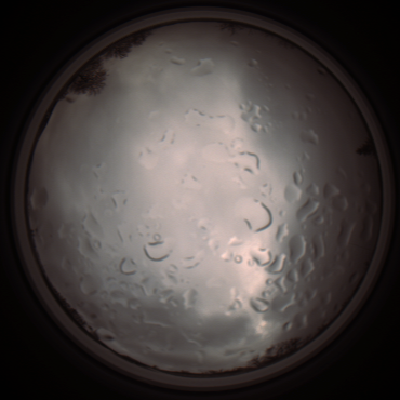 capture_202112061400_1803.Png
