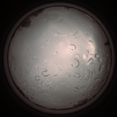 capture_202112061308_1751.Png