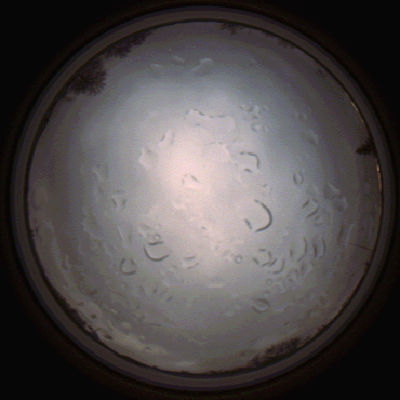 capture_202112061446_1849.Png