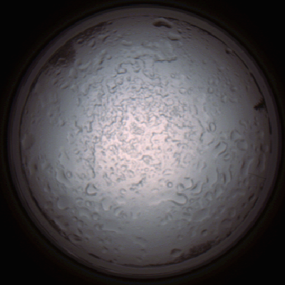 capture_202112060831_1474.Png