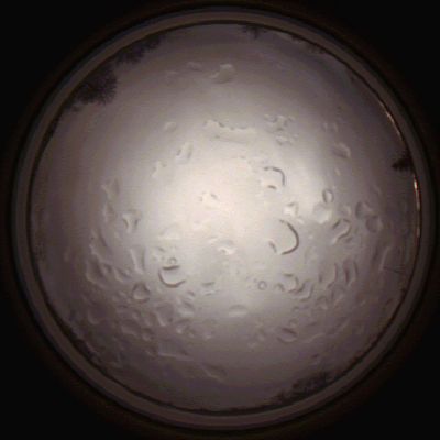 capture_202112061454_1857.Png