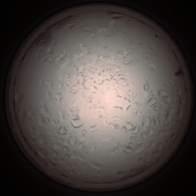 capture_202112061012_1575.Png