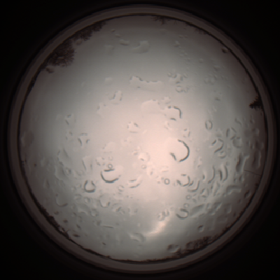 capture_202112061237_1720.Png