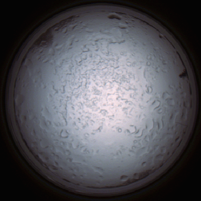 capture_202112060908_1511.Png