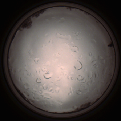 capture_202112061426_1829.Png