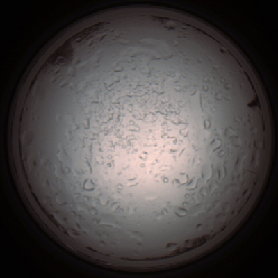 capture_202112060939_1542.Png