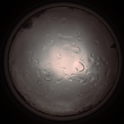 capture_202112061421_1824.Png