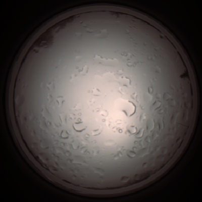 capture_202112061055_1618.Png