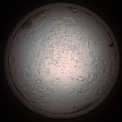 capture_202112060943_1546.Png