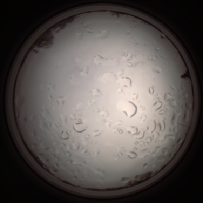 capture_202112061128_1651.Png