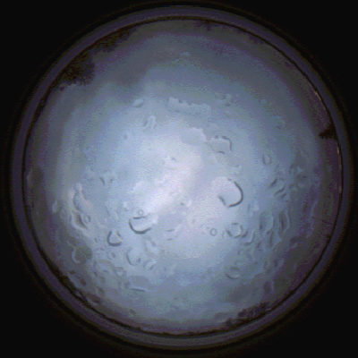 capture_202112061515_1878.Png