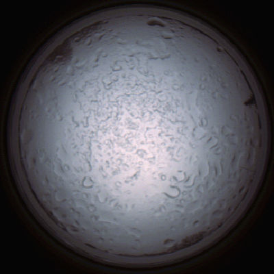 capture_202112060850_1493.Png