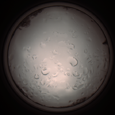 capture_202112061236_1719.Png