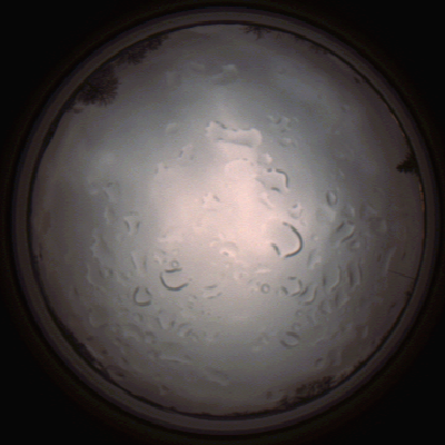 capture_202112061439_1842.Png
