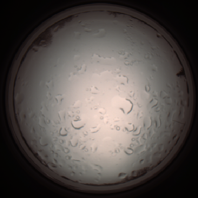 capture_202112061050_1613.Png