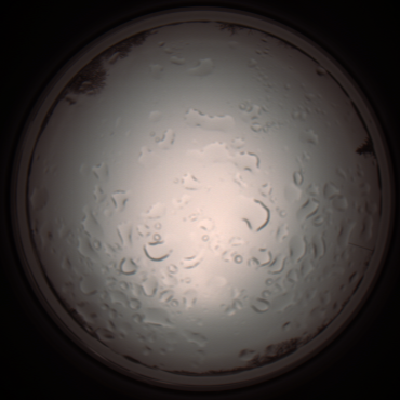 capture_202112061119_1642.Png